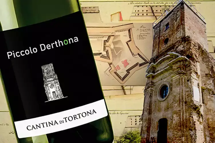 Piccolo Derthona &egrave; un Timorasso in purezza Timorasso Piccolo Derthona Bianco top dalla Cantina di Tortona